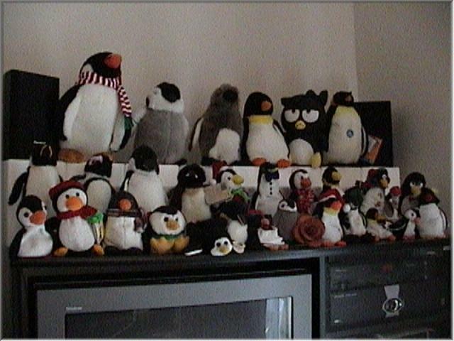 013Penguins