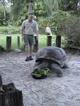 ALDABRA TORTOISE 0130