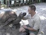 ALDABRA TORTOISE 0150