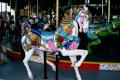 Carousel Horse