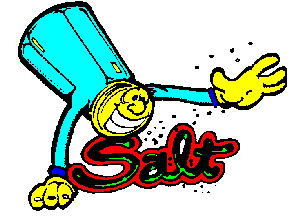 SALT Logo